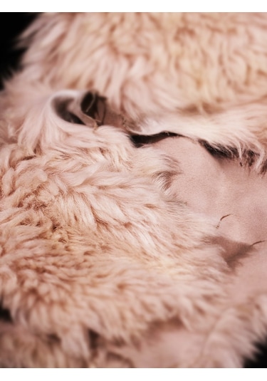 Naturel Zarafet: Hakiki Hayvan Derisi Aksesuarıyla Evinizdeki Do