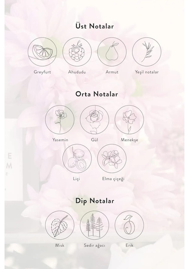 Matsu Harmony Saç Parfümü 50 ML