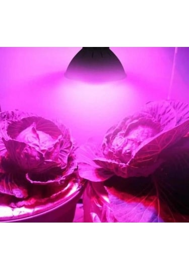 3 Watt Bitki Yetiştirme Ledi Full Sprectrum Grow Led Spot 1