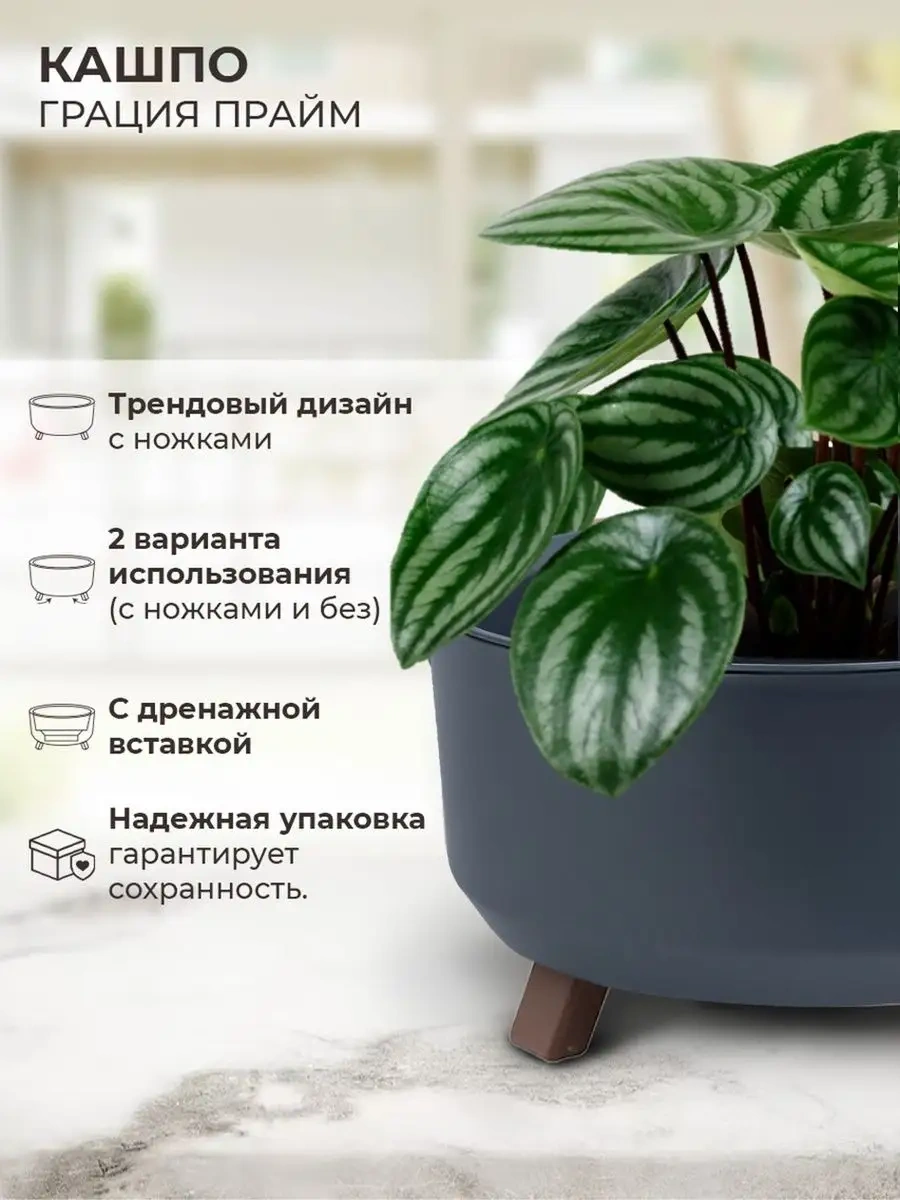 La Decoro Sukulentler İçin Saksı, Ayaklı Saksı, Kaktüs Saksısı 166657688