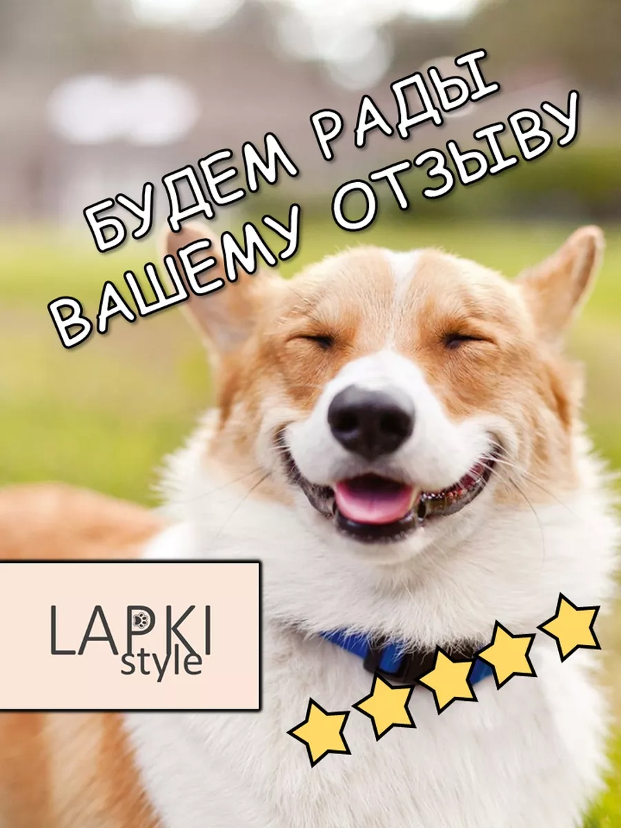 Lapkistyle Köpeğiniz İçin Dikenli Ve Cırtlak Top 7 + 7 Cm 240319238