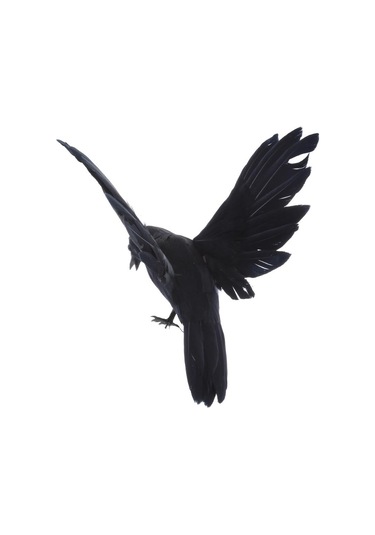 Suntek Açık Bahçe Ev Dekorasyonu Için Yapay Gerçekçi