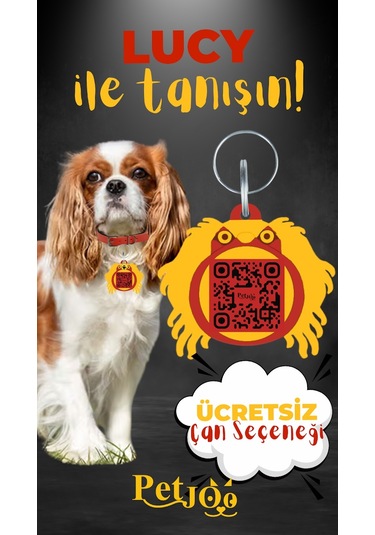 Petjoo 11.Lucy Sarı-Kırmızı Qr'lı Köpek Künyesi