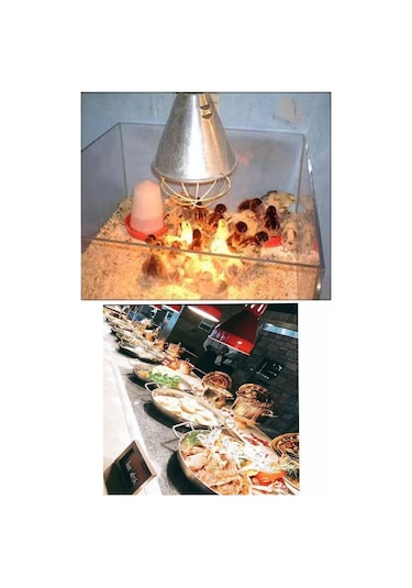 8 Adet 250w Kızılötesi İnfrared Isıtıcılı Hayvan Isıtma Ve Kuluçka Lambası Sarı Işık E27 Kalın Duy