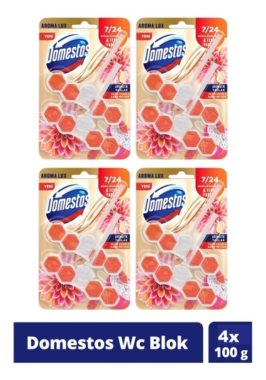 Domestos Tuvalet Bloğu Yıldız Çiçeği & Ejder Meyvesi 4 x 100 G