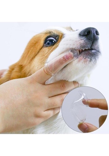Kedi Köpek Parmak Diş Fırçası Kutulu Evcil Hayvan Diş Fırçası