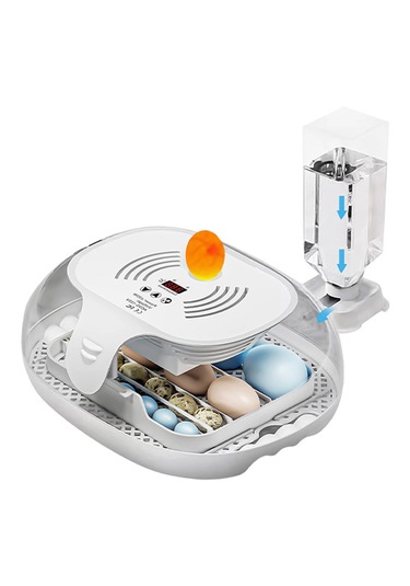 Altın Kuluçka-wonegg 16'lı Tam Otomatik Kuluçka Makinesi