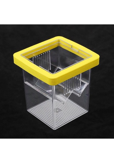 Homyl Yüzen Balık Yetiştiricisi Kutusu Palyaço Balığı,