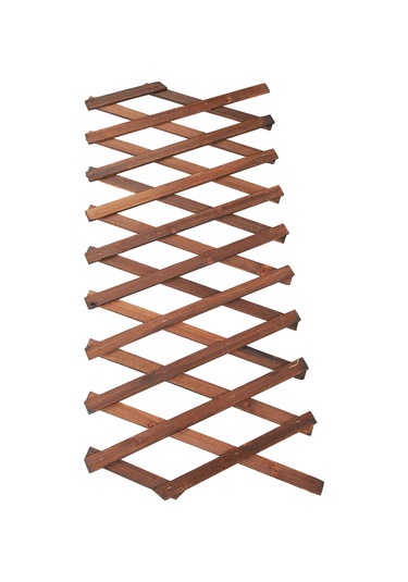 Fosenze Ağaçlı Genişletilebilir Bitki Tırmanma Kafesi - Bahçe İçin Gelişim Desteği Ve Gölgeleme Paneli