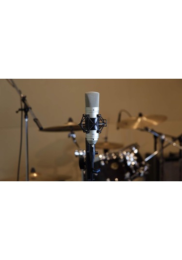 Tascam Tm-80 / Cardioid Condenser Mikrofon