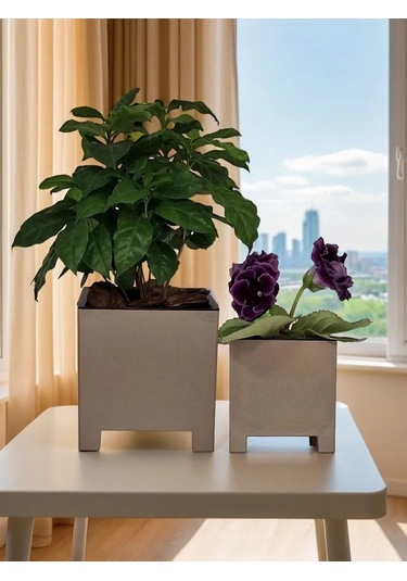 Live-in-green 2l Ve 5,5l Plastik Çiçek Saksısı S 414324538