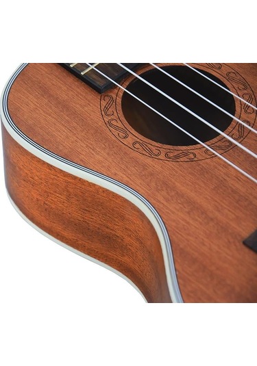 Tayste Tuk200-24 Concert Ukulele