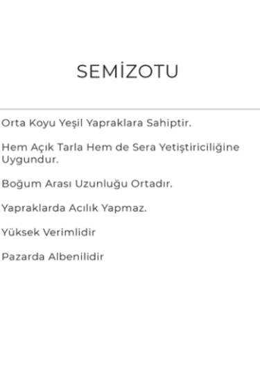 Semizotu Tohumu 10gr