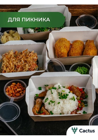 Cactus Tek Kullanımlık Trifolina Kutuları, 1000 Ml Yiyecek Kapları 224868224 100 adet