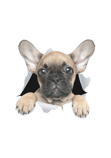 Kişilik Köpek Yavrusu 3d Araba Çıkartmaları Su Geçirmez Araba Gövde Bloğu Çizikler Simülasyon Çıkartmaları Pugs