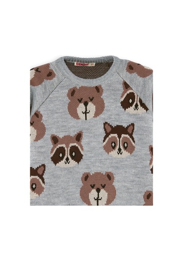 Denokids Ayı Rakun Erkek Çocuk Gri Triko Kazak Renkli