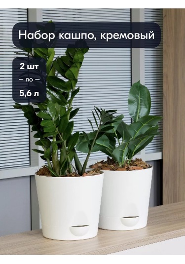 Interm Büyük Çiçek Saksısı, 2 Adet, 5.6 Litre 182712027