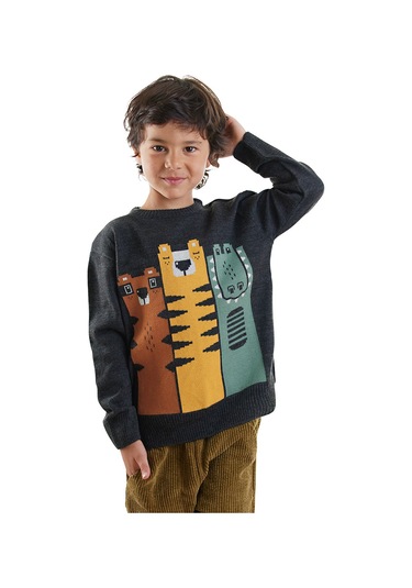 Denokids Hayvanlar Erkek Çocuk Triko Kazak Renkli