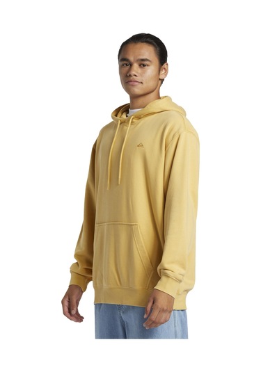 Quiksilver Salt Water Hoodie Erkek Sweatshirt Renkli