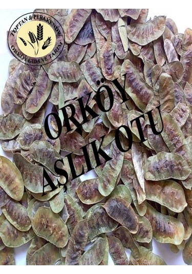 Orköy Doğal Aşlık Otu 100 Gr Açlık Otu