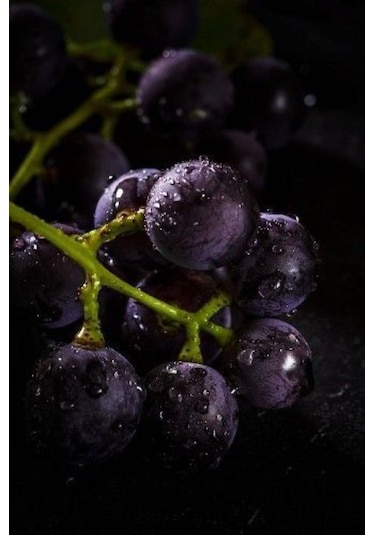 Doğaşık Siyah Merlott Üzümü Fidanı 1-2 Yaş Arası Tüplü