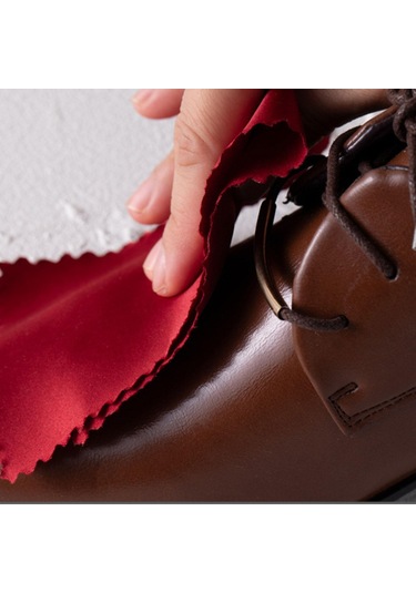 Homyl Unısex Yetişkinler Için Ayakkabı Bakımı Ve Lehçe Kiti Siyah