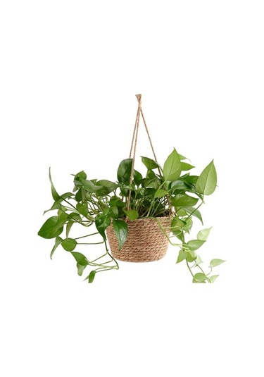 Ulzyvf Tutucu Sepeti Saksısı Saksı Renk Mekan Mekan Makrome L Jüt İç Halat Dokuma Dış Depolama Çiçek Bitki Birincil Bahçe Askılı Jk