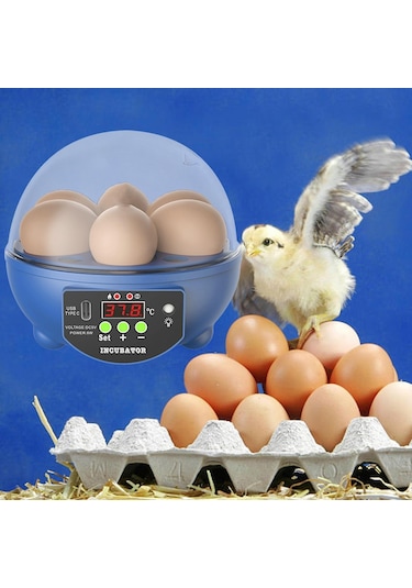 Suntek Yumurta Kuluçka Makineleri Otomatik Civciv Kuluçka