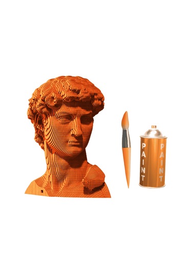 Cartonic 3d Puzzle - Davıd