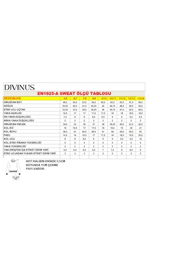 Divinus Erkek Çocuk Basıc Takım Gri