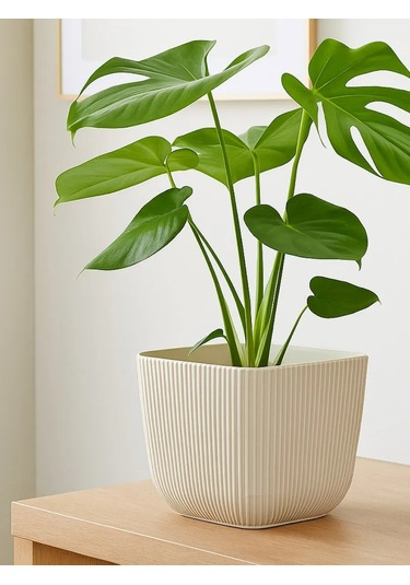 Idea İç Ve Dış Mekan Çiçekleri İçin Saksı 1,8l 147331522