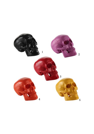 Suntek Reçine Çoğaltma Sanat İnsan Kafatası Modeli Parti