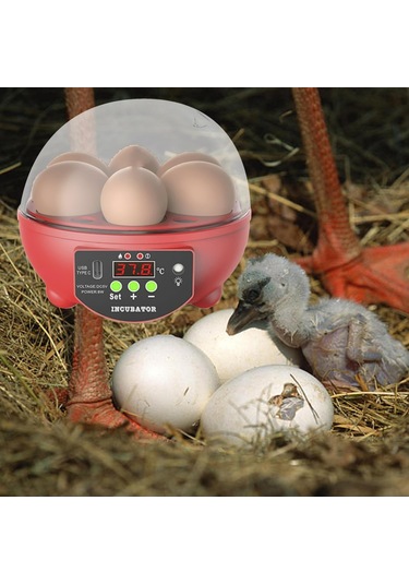 Homyl Yumurta Kuluçka Makineleri Otomatik Civciv Ördek Için