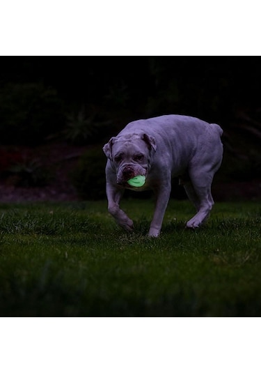 Chuckit Max Glow Air Fetch Gece Parlayan Köpek Oyun Topu Orta Boy 6,5 Cm 260-50001.01