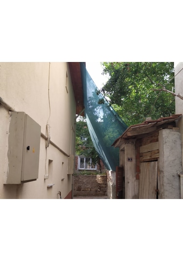 Morilu Dut Toplama Filesi - 75'lik Yeşil Şeritli Halkalı File - Sebze Kurutma Filesi - Hasat Filesi