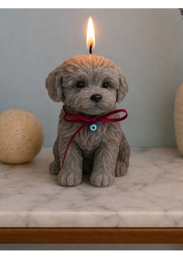 Sevimli Köpek Mum Gri