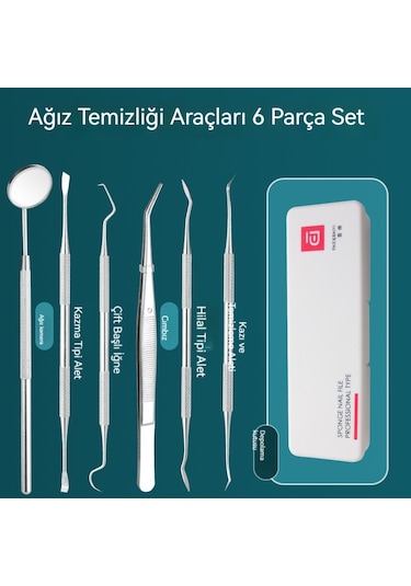 Diş Taşı Sökücü Ağız Bakım Aracı Endoskopik Tıbbi Prob Temizleme Diş Lekeleri Tartar Ağız Aracı 6 Adet Plastik Kutu