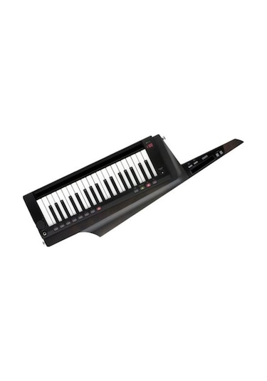 Rk-100s 2-bk