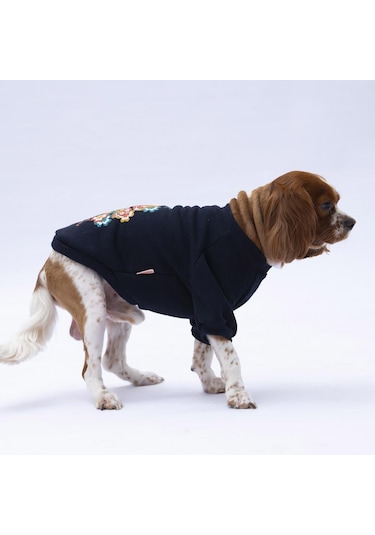 Siyah Chongqing Kedi Köpek Sweat- Kedi Köpek Kıyafeti