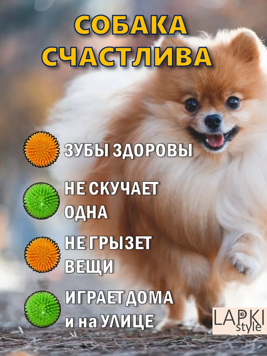 Lapkistyle Köpeğiniz İçin Dikenli Ve Cırtlak Top 7 + 7 Cm 240319238