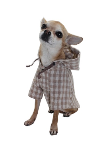 Pawstar Bej Ekose Oduncu Kedi Köpek Gömleği