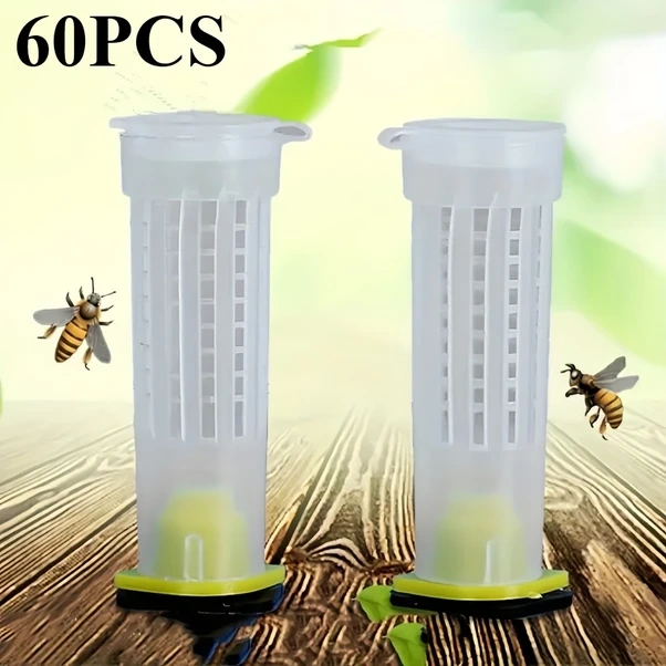 Fochsia 60 Adet Balıkçılık İçin Hücre Kapakları Plastik Koruma Kafesi, Temel Araç