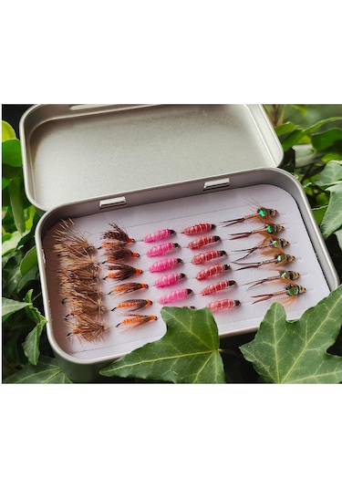 Dolıty Sinekler Depolama Kutusu Sınıflandırılmış Küçük