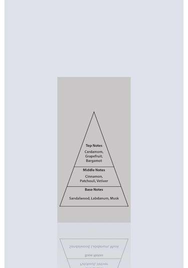 Lufian Pole Point Erkek Parfüm EDP 100 ML