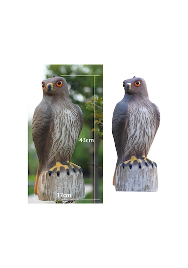 Homyl Kartal Heykeli Plastik Raf Kitaplık Masaüstü Heykelcik Orta