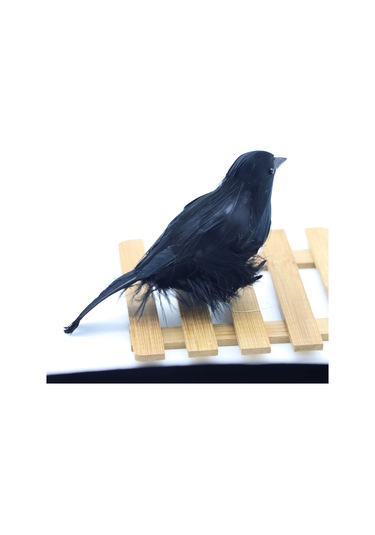 Dofolink Halloween Korku Atmosferi Oluşturucu Canlı Tasarımlı Sahte Karga Dekorasyon Seti - Köpük Ve Tüy Malzeme - 6 Adet Düz Kafa Modeli