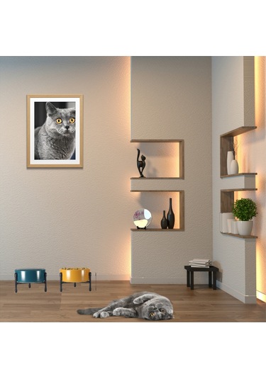 Yılmazel Mama Su Kabı Metal Standı Yüksekliği Ayarlanabilir