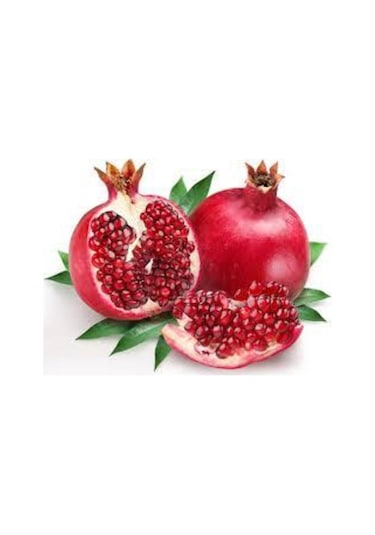 5 Adet Tohum Nar Ağacı Tohumu