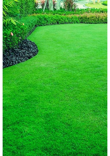 Dört Mevsim Ekilen 6 Karışımlı Çim Tohumu 1 Kğ