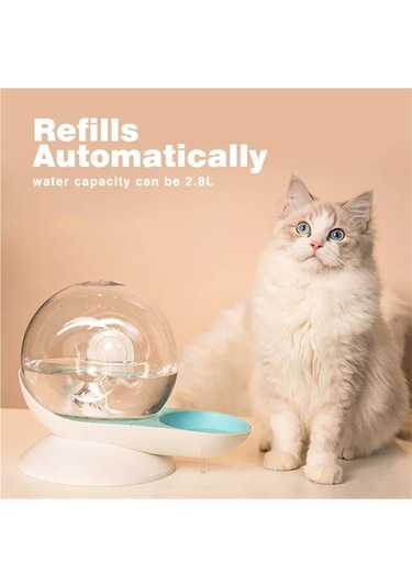 Jıalan Salyangoz Kabarcık Kedi Kediler Köpekler İçin Su Çeşmesi